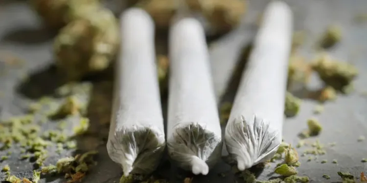 തായ്ലൻഡിൽ കഞ്ചാവിന് കടിഞ്ഞാൺ: സ്വാതന്ത്ര്യത്തിൽ നിന്ന് നിയന്ത്രണത്തിലേക്ക് 1 തായ്ലൻഡിൽ കഞ്ചാവിന് കടിഞ്ഞാൺ: സ്വാതന്ത്ര്യത്തിൽ നിന്ന് നിയന്ത്രണത്തിലേക്ക്