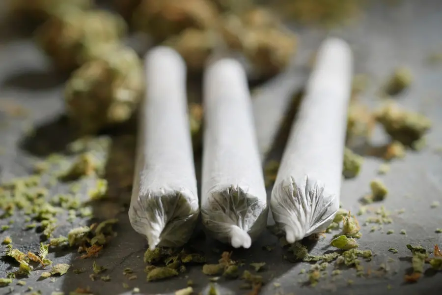 തായ്‌ലൻഡിൽ കഞ്ചാവിന് കടിഞ്ഞാൺ: സ്വാതന്ത്ര്യത്തിൽ നിന്ന് നിയന്ത്രണത്തിലേക്ക്