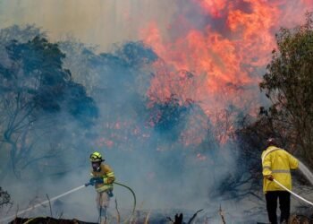 കാട്ടുതീ: എണ്ണ, വാതക സൗകര്യങ്ങൾക്ക് ഭീഷണി ; ജീവനക്കാരെ സ്ഥലം മാറ്റി കമ്പനികൾ