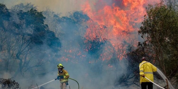കാട്ടുതീ: എണ്ണ, വാതക സൗകര്യങ്ങൾക്ക് ഭീഷണി ; ജീവനക്കാരെ സ്ഥലം മാറ്റി കമ്പനികൾ