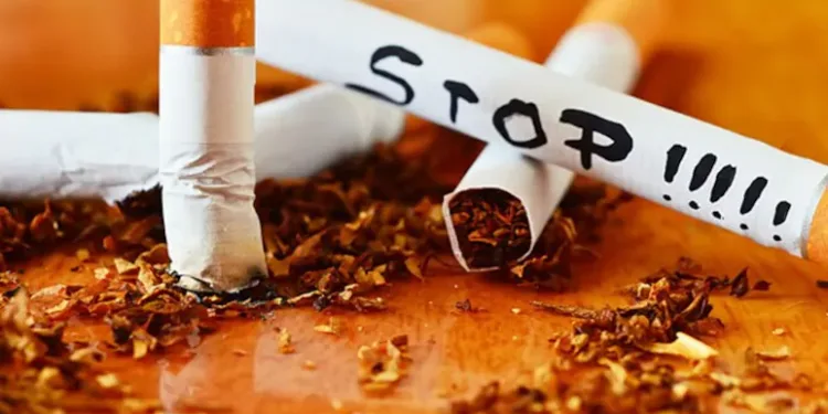 'എവിടെ പുക, അവിടെ പിഴ': ഫ്രാൻസ് പുകരഹിത രാജ്യമാകാൻ ഒരുങ്ങുന്നു: പുതിയ നിയമം പ്രാബല്യത്തിൽ 1 ‘എവിടെ പുക, അവിടെ പിഴ’: ഫ്രാൻസ് പുകരഹിത രാജ്യമാകാൻ ഒരുങ്ങുന്നു: പുതിയ നിയമം പ്രാബല്യത്തിൽ