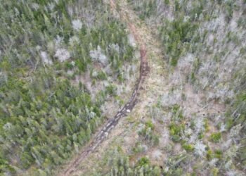 പരിസ്ഥിതി സംരക്ഷണത്തിന് പുതിയ കാൽവെപ്പുമായി PEI : മാപ്പിംഗ് ടൂൾ പുറത്തിറക്കി