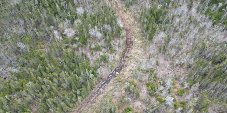 പരിസ്ഥിതി സംരക്ഷണത്തിന് പുതിയ കാൽവെപ്പുമായി PEI : മാപ്പിംഗ് ടൂൾ പുറത്തിറക്കി
