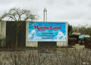 മറൈൻലാൻഡ് അടഞ്ഞുതന്നെ; ഉടമസ്ഥാവകാശം മാറുന്നു, മൃഗങ്ങളുടെ ക്ഷേമത്തിൽ അനിശ്ചിതത്വം