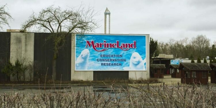 മറൈൻലാൻഡ് അടഞ്ഞുതന്നെ; ഉടമസ്ഥാവകാശം മാറുന്നു, മൃഗങ്ങളുടെ ക്ഷേമത്തിൽ അനിശ്ചിതത്വം 1 മറൈൻലാൻഡ് അടഞ്ഞുതന്നെ; ഉടമസ്ഥാവകാശം മാറുന്നു, മൃഗങ്ങളുടെ ക്ഷേമത്തിൽ അനിശ്ചിതത്വം