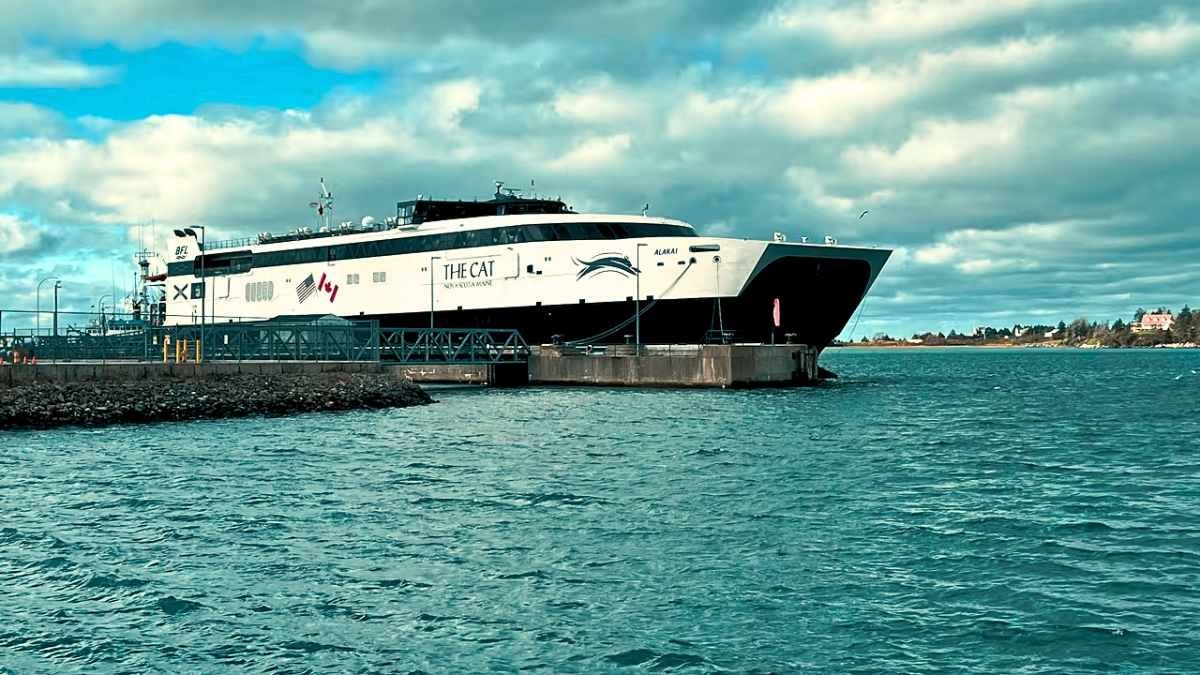 CAT ഫെറിയിൽ യാത്രക്കാർ കുറവ് ; കാനഡ-യു.എസ്. വ്യാപാര തർക്കം തിരിച്ചടിയായെന്ന് സൂചന