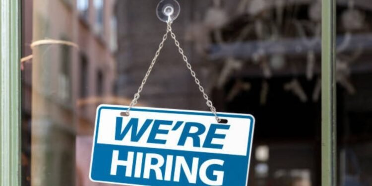 കാനഡ സമ്മർ ജോബ്സ്; കാനഡയിൽ യുവജനങ്ങൾക്ക് ആശ്വാസമായി 6,000 പുതിയ തൊഴിലവസരങ്ങൾ