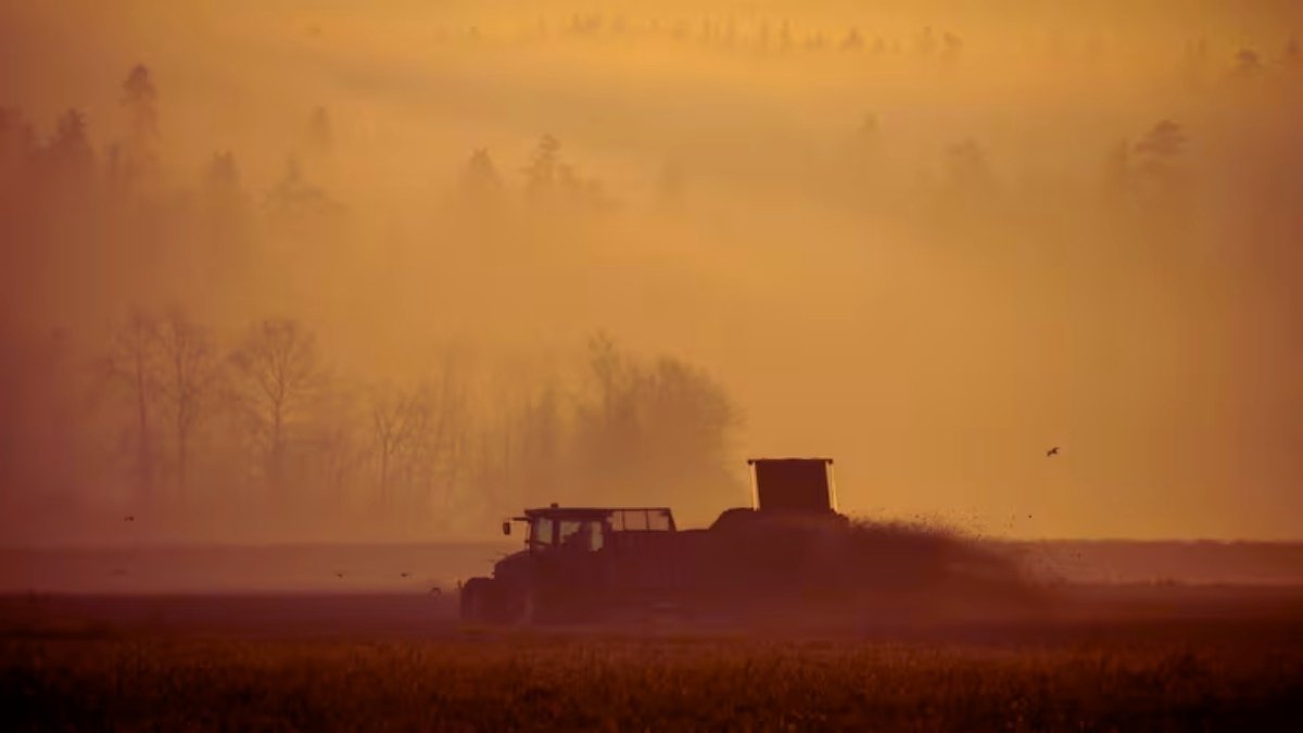കാനഡയിലെ ഏറ്റവും വലിയ കാർഷിക നഷ്ടം; ബി.സിയിലെ കർഷകർക്ക് ദുരിതം