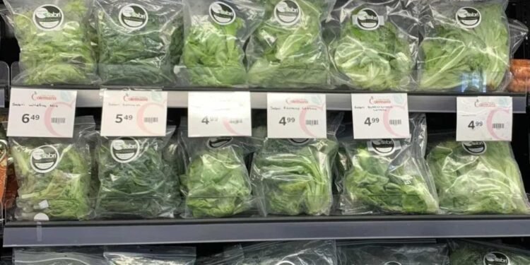 വിലയോ മിച്ചം, ​ഗുണമോ മെച്ചം! ; ഫ്രഷ് ഇലക്കറികൾ ഇനി സെന്റ് ആന്റണിയിൽ!