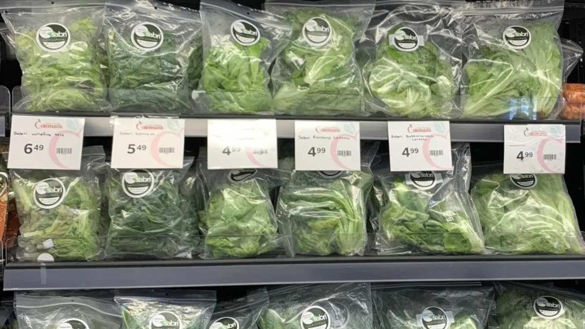 വിലയോ മിച്ചം, ​ഗുണമോ മെച്ചം! ; ഫ്രഷ് ഇലക്കറികൾ ഇനി സെന്റ് ആന്റണിയിൽ!