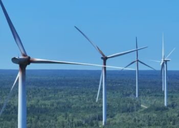 ഹൈഡ്രജൻ പദ്ധതികൾക്ക് തിരിച്ചടി: കോടികളുടെ ബാധ്യതയിൽ ന്യൂഫൗണ്ട്ലാൻഡ് കമ്പനികൾ