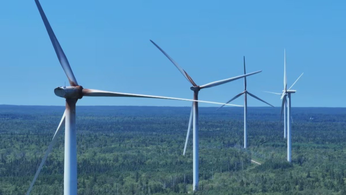 ഹൈഡ്രജൻ പദ്ധതികൾക്ക് തിരിച്ചടി: കോടികളുടെ ബാധ്യതയിൽ ന്യൂഫൗണ്ട്ലാൻഡ് കമ്പനികൾ