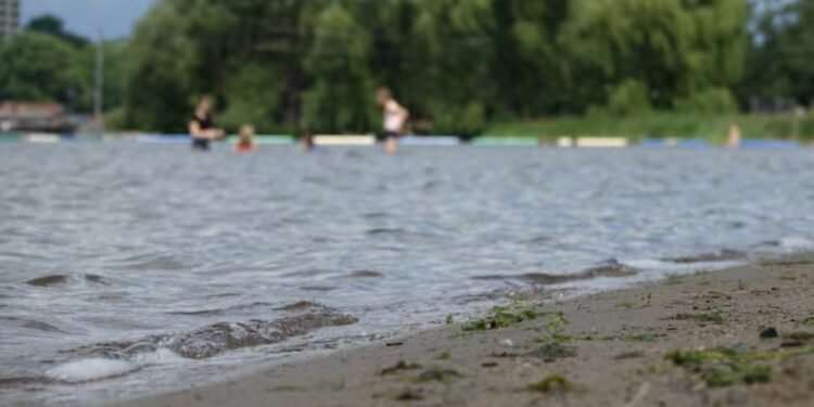 ഒട്ടാവ ബീച്ചുകളിലെ ജലപരിശോധന: ആശയവിനിമയത്തിലെ പാളിച്ച ഏറ്റുപറഞ്ഞ് ആരോഗ്യവകുപ്പ് 1 ഒട്ടാവ ബീച്ചുകളിലെ ജലപരിശോധന: ആശയവിനിമയത്തിലെ പാളിച്ച ഏറ്റുപറഞ്ഞ് ആരോഗ്യവകുപ്പ്