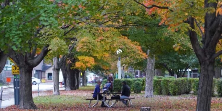 ഇവിടെ മദ്യപാനം പാടില്ല; പുതിയ മാറ്റവുമായി ഒട്ടാവ!