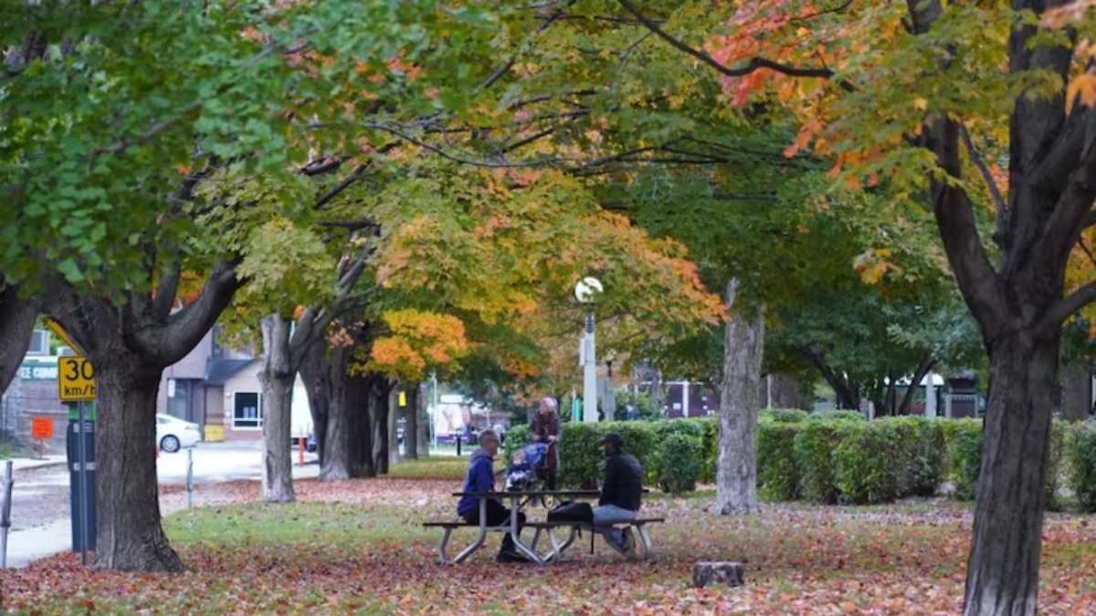 ഇവിടെ മദ്യപാനം പാടില്ല; പുതിയ മാറ്റവുമായി ഒട്ടാവ!