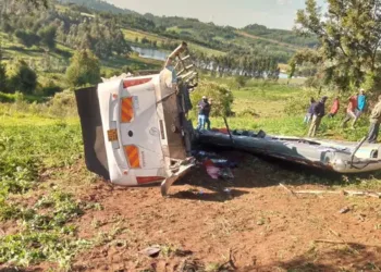ദുരന്തമായി വിനോദയാത്ര, കെനിയയിൽ ബസ്സ് താഴ്ചയിലേക്ക് മറിഞ്ഞ് ആറ് മരണം; മരിച്ചവരിൽ പിഞ്ചുകുഞ്ഞടക്കം അഞ്ച് മലയാളികൾ