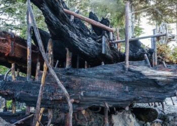 കാനഡയിൽ 128 വർഷം പഴക്കമുള്ള കപ്പൽ അവശിഷ്ടം കത്തിനശിച്ചു; ദുരൂഹത നീക്കാൻ അന്വേഷണം