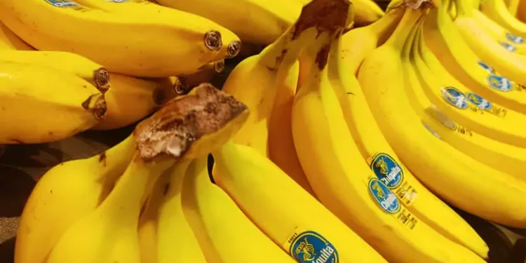 വാഴപ്പഴം കിട്ടാനില്ല: മാർക്കറ്റിൽ ബ്രാൻഡുകളുടെ ലഭ്യത കുറയുന്നു