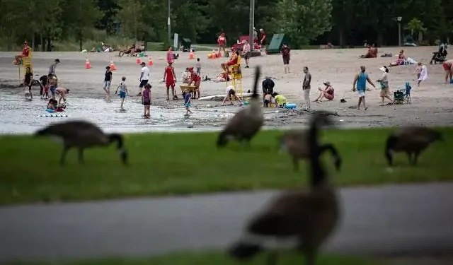 ഒട്ടാവ ബീച്ചുകളിൽ വെള്ളം പരിശോധന കുറച്ചത് ശരിയെന്ന് പബ്ലിക് ഹെൽത്ത്; എതിർപ്പുകൾക്കിടയിലും നിലപാട് മാറ്റില്ല