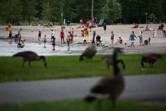 ഒട്ടാവ ബീച്ചുകളിൽ വെള്ളം പരിശോധന കുറച്ചത് ശരിയെന്ന് പബ്ലിക് ഹെൽത്ത്; എതിർപ്പുകൾക്കിടയിലും നിലപാട് മാറ്റില്ല