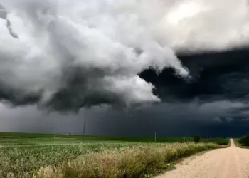 മീഡോ ലേക്കിൽ കനത്ത മഴ; നഗരം വെള്ളത്തിനടിയിൽ, റോഡുകൾ തടസ്സപ്പെട്ടു