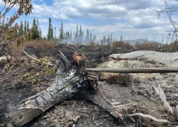 ചർച്ചിൽ ഫാൾസിലെ കാട്ടുതീ നിയന്ത്രണ വിധേയം; ജാഗ്രത തുടരണമെന്ന് അധികൃതർ