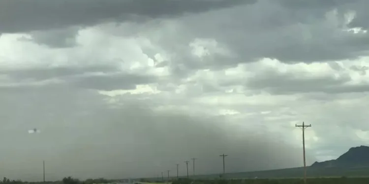 സാസ്കാച്ചുവാനിൽ കനത്ത മഴയ്ക്ക് സാധ്യത; വാരാന്ത്യത്തിൽ 80 മില്ലിമീറ്റർ വരെ മഴ ലഭിച്ചേക്കും 1 സാസ്കാച്ചുവാനിൽ കനത്ത മഴയ്ക്ക് സാധ്യത; വാരാന്ത്യത്തിൽ 80 മില്ലിമീറ്റർ വരെ മഴ ലഭിച്ചേക്കും