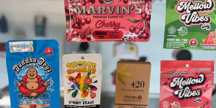 കഞ്ചാവിന്റെ വീര്യം കൂടുന്നു ; ആരോഗ്യത്തിനും നിയമവ്യവസ്ഥക്കും കടുത്ത വെല്ലുവിളി 1 കഞ്ചാവിന്റെ വീര്യം കൂടുന്നു ; ആരോഗ്യത്തിനും നിയമവ്യവസ്ഥക്കും കടുത്ത വെല്ലുവിളി