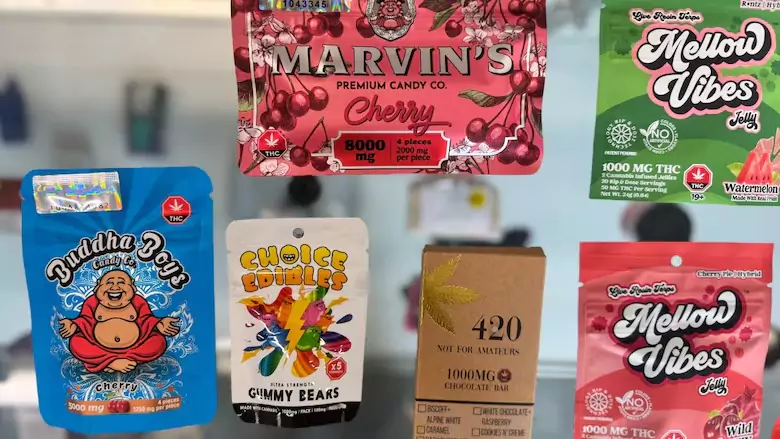 കഞ്ചാവിന്റെ വീര്യം കൂടുന്നു ; ആരോഗ്യത്തിനും നിയമവ്യവസ്ഥക്കും കടുത്ത വെല്ലുവിളി