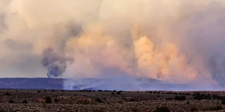 വേനൽച്ചൂടിൽ വെന്തുരുകി ഗ്രാൻഡ് കാന്യോൺ: കാട്ടുതീ നിയന്ത്രണാതീതം; ആളുകളെ ഒഴിപ്പിക്കുന്നു 1 വേനൽച്ചൂടിൽ വെന്തുരുകി ഗ്രാൻഡ് കാന്യോൺ: കാട്ടുതീ നിയന്ത്രണാതീതം; ആളുകളെ ഒഴിപ്പിക്കുന്നു