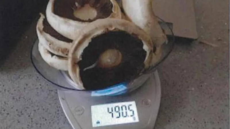 ഓസ്ട്രേലിയയില് ‘കൂടത്തായി’ മോഡല്; മഷ്റൂം മർഡറിൽ ദുരൂഹത നീങ്ങുന്നു, കേസിന്റെ ഞെട്ടിക്കുന്ന ദൃശ്യങ്ങൾ പുറത്തുവിട്ട് കോടതി ! 5 1032da40 5b1e 11f0 9b28 9bfb5df7c94a.jpg