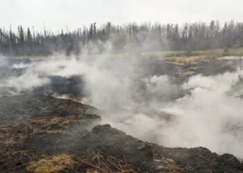 carbon emissions