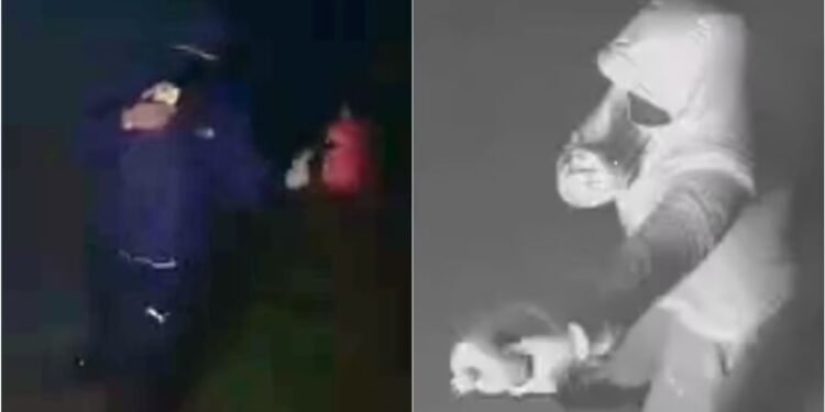 ടൊറന്റോയിൽ കെട്ടിടത്തിന് തീയിട്ട് അഞ്ജാതൻ: പ്രതിക്കായി തിരച്ചിൽ ഊർജിതമാക്കി പോലീസ് 1 ടൊറന്റോയിൽ കെട്ടിടത്തിന് തീയിട്ട് അഞ്ജാതൻ: പ്രതിക്കായി തിരച്ചിൽ ഊർജിതമാക്കി പോലീസ്