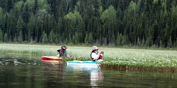 ആൽബെർട്ടയിലെ കായലുകളിൽ ബോട്ട് യാത്രയ്ക്ക് പാസ്; പുതിയ നിയമം വരുന്നു!