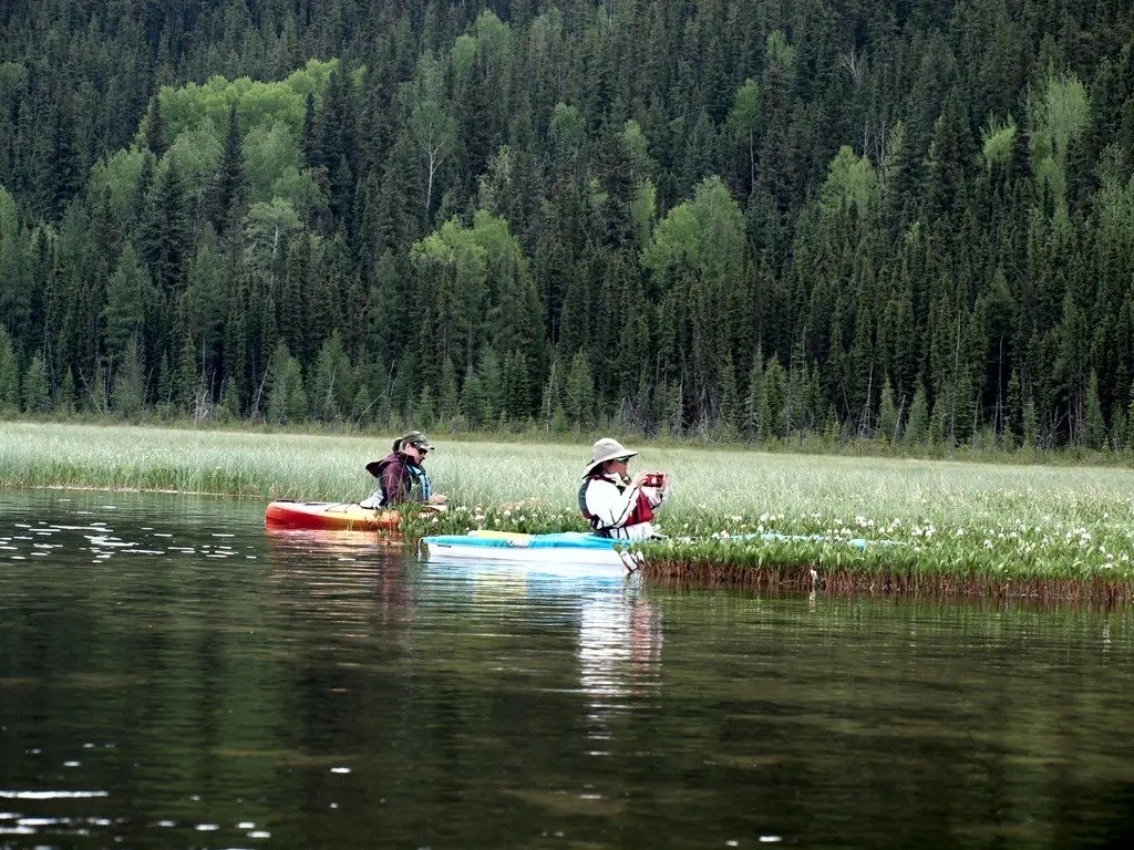 ആൽബെർട്ടയിലെ കായലുകളിൽ ബോട്ട് യാത്രയ്ക്ക് പാസ്; പുതിയ നിയമം വരുന്നു!