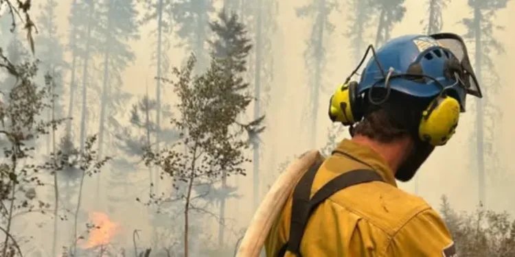 അണയാതെ കാട്ടുതീ; സസ്‌കച്ചെവാനിൽ 64 ഇടങ്ങളിൽ തീ പടരുന്നു, ജാ​ഗ്രത നിർദേശം