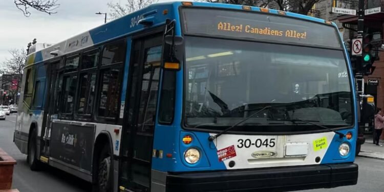 ക്യുബെക്കിൽ കായിക ടീമുകളെ പ്രോത്സാഹിപ്പിക്കാൻ ‘Go’ എന്ന് ഉപയോഗിക്കാം: ഭാഷാ നിരീക്ഷകൻ നിലപാട് മാറ്റി