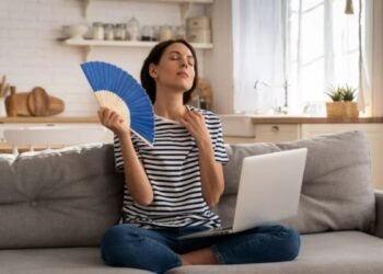 ഉഷ്ണതരംഗ ഭീഷണിയിൽ ക്യുബെക്ക്: എയർ കണ്ടീഷനിംഗ് ഇല്ലാത്ത വീടുകളിൽ ദുരിതം; നിയമനിർമ്മാണം ആവശ്യം