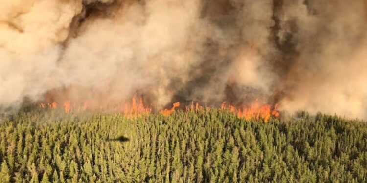 കാട്ടുതീ പടരുമ്പോളും അനാസ്ഥ; ആവശ്യത്തിന് ജീവനക്കാരും ഫണ്ടുമില്ല; താറുമാറായി ഒന്റാരിയോയിലെ അഗ്നിശമന സേന 1 കാട്ടുതീ പടരുമ്പോളും അനാസ്ഥ; ആവശ്യത്തിന് ജീവനക്കാരും ഫണ്ടുമില്ല; താറുമാറായി ഒന്റാരിയോയിലെ അഗ്നിശമന സേന