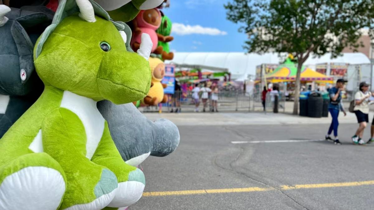 സാമ്പത്തിക അനിശ്ചിതത്വങ്ങൾ മറികടന്ന് സ്റ്റാമ്പീഡിന് പ്രതീക്ഷാഭരിത തുടക്കം!