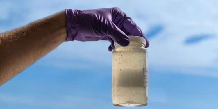 മലിനജലം പരിശോധിച്ച് രോഗനിർണയം! ആൽബർട്ടയിൽ പുതിയ ഗവേഷണം