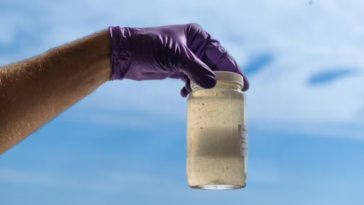 മലിനജലം പരിശോധിച്ച് രോഗനിർണയം! ആൽബർട്ടയിൽ പുതിയ ഗവേഷണം