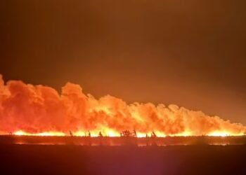 wildfire