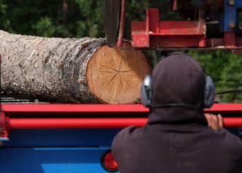 wood