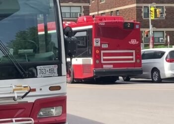 buses