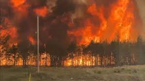 manitoba forest fire