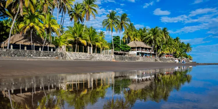 എൽ സോണ്ടെ: ലോകം ഉറ്റുനോക്കുന്ന ബിറ്റ്‌കോയിൻ ഗ്രാമം!