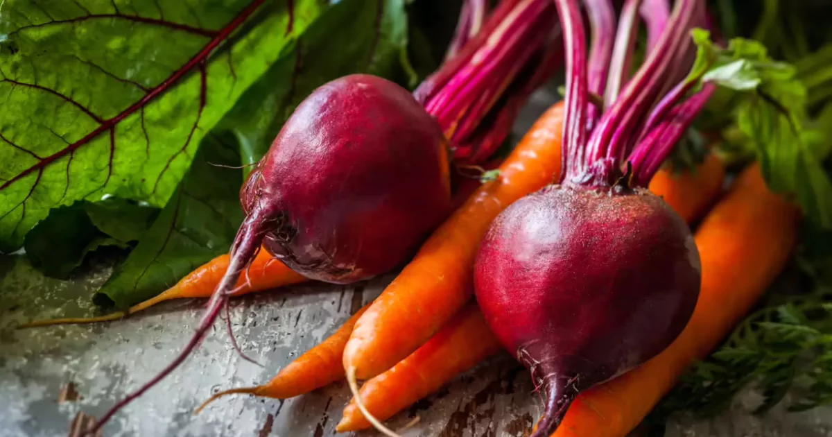 carrot & beetroot