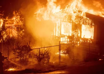 forset fire