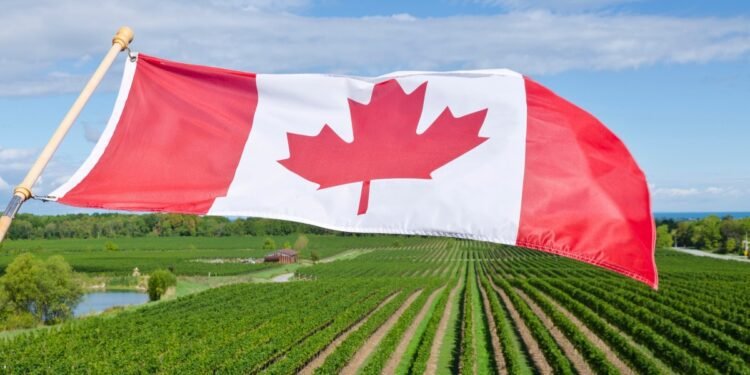 അപേക്ഷകരുടെ തിരക്ക്, സ്ഥിരതാമസ പാതയിലേക്കുള്ള വാതിലുകൾ അടഞ്ഞു: ഒകനഗനിൽ PR അപേക്ഷകൾ സ്വീകരിക്കുന്നത് നിർത്തിവെച്ചു 1 canada flag